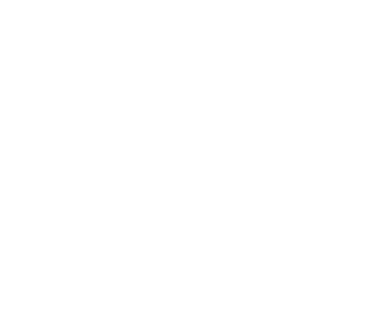 Airport logo