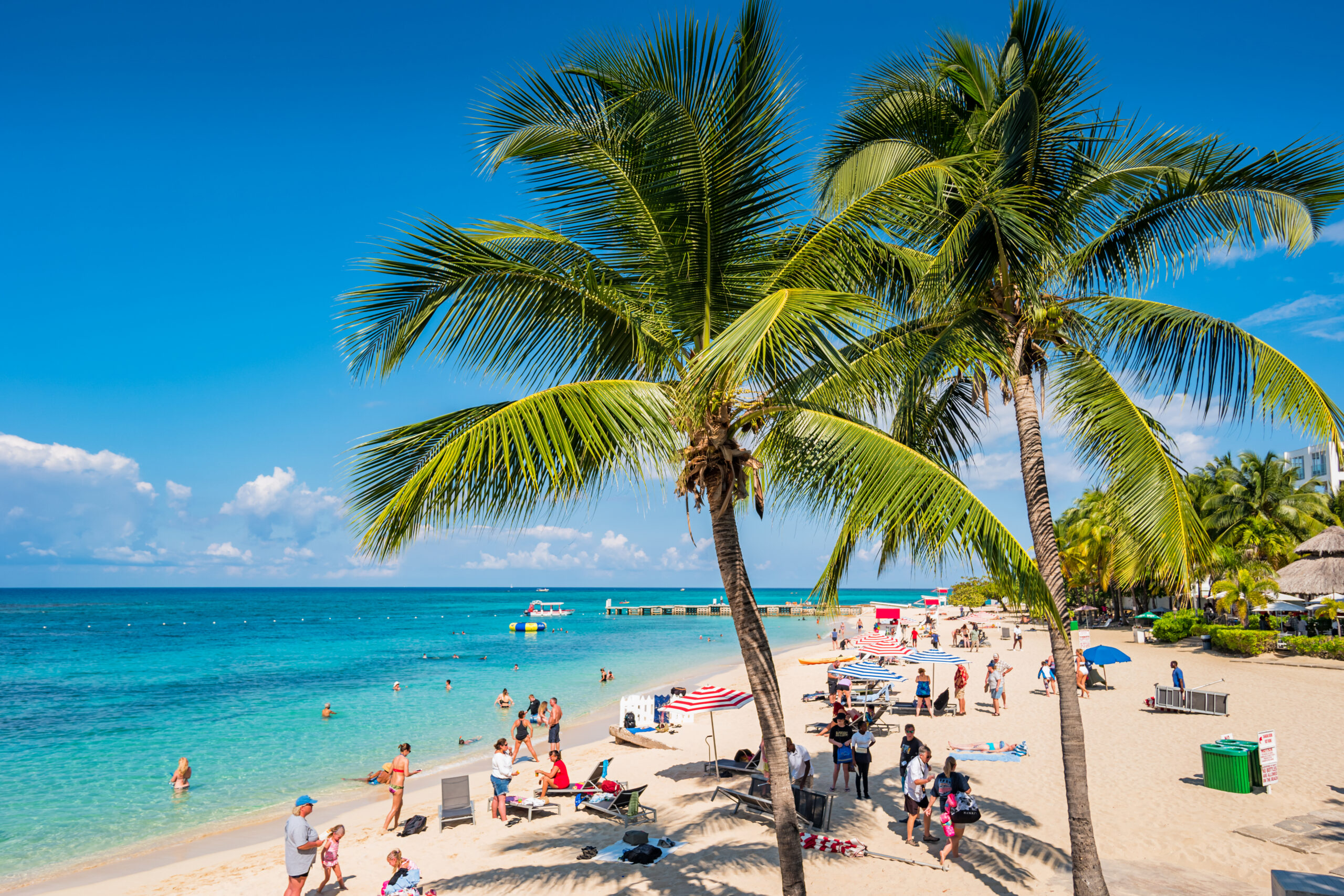 Palm trees at Doctor’s Cave Beach in Montego Bay Jamaica